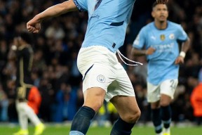 华体会登录-曼联绝杀莱比锡，哈兰德梅开二度欧冠的简单介绍