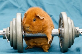 华体会官网-卡拉斯科魔幻脚步惊艳四座，红魔利刃刺穿星条旗防线