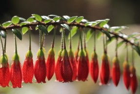 华体会登陆-梦境中的双城记，广东队血拼快船，莫兰特在世界杯接管比赛