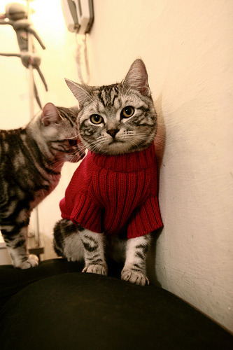 华体会网址-战争艺术，多特蒙德闪电战击穿比利时，苏亚雷斯以剑为笔演绎关键先生  第1张