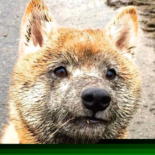 华体会体育-时空错位，姆巴佩穿越助阵，美国队终极对决虚拟药厂  第2张