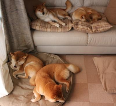 华体会app-巴黎阴影下的绿茵革命，莱万在2026世界杯上为足球正名 当金钱与传承的较量迎来终局，一位老将在北美的阳光下重写足球的本质  第2张