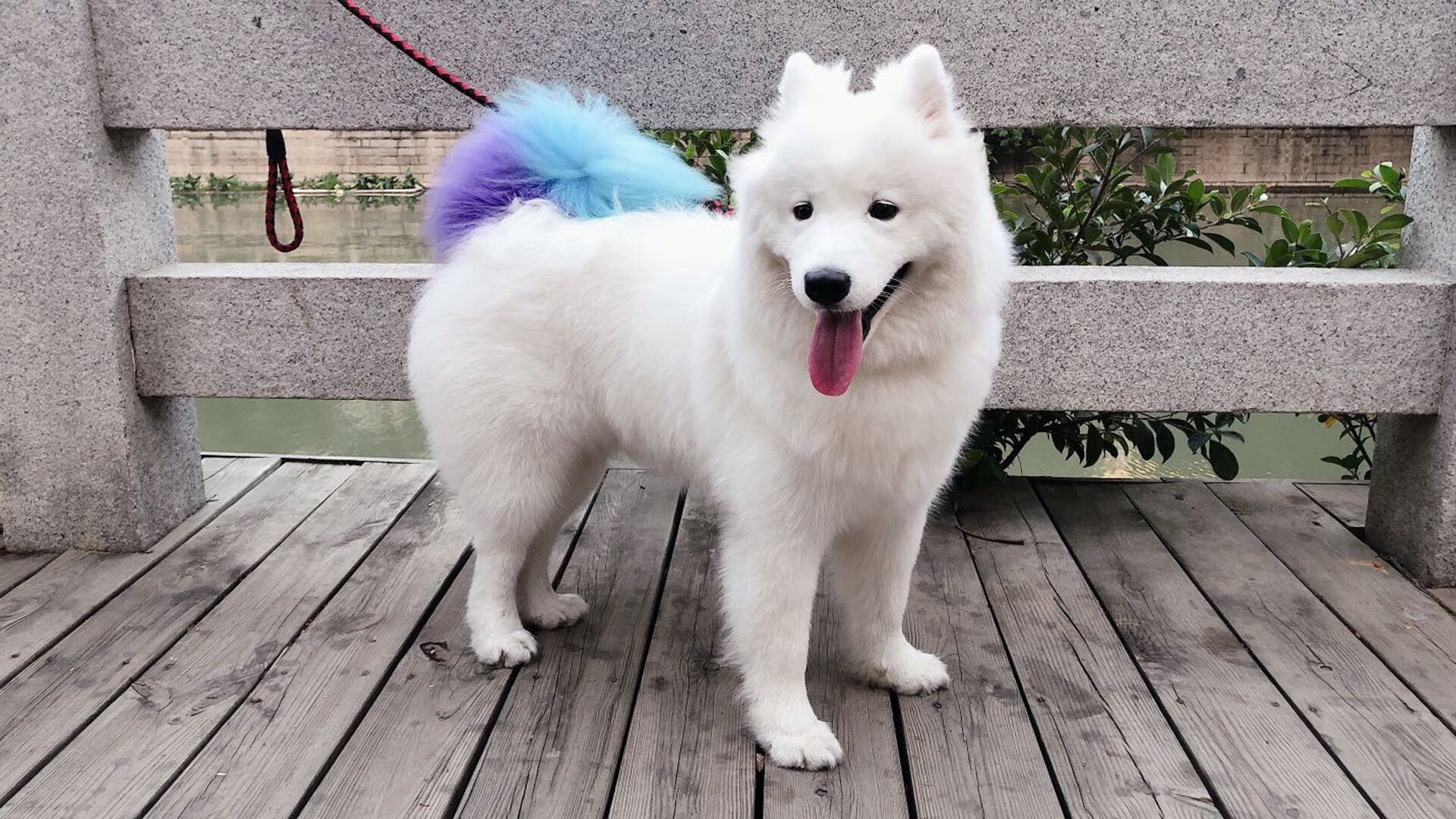 华体会app-跨越太平洋的篮球共鸣，马克西的爆发夜与浙江队的突围战  第1张